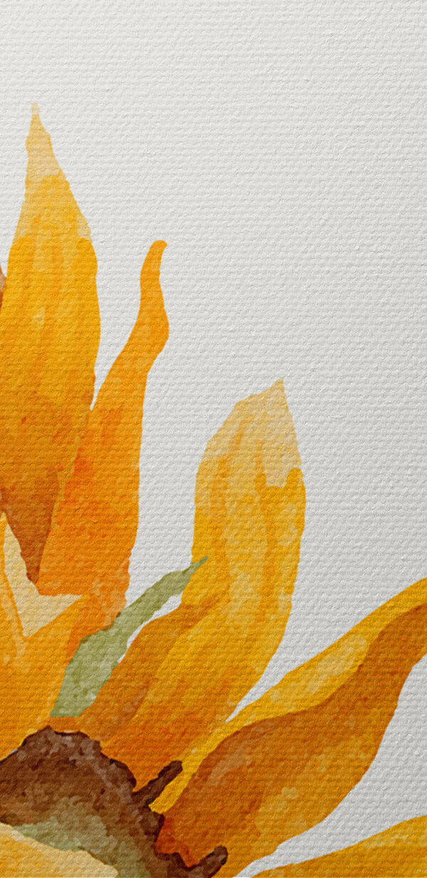 Gros plan sur un tournesol Gros plan sur un tournesol