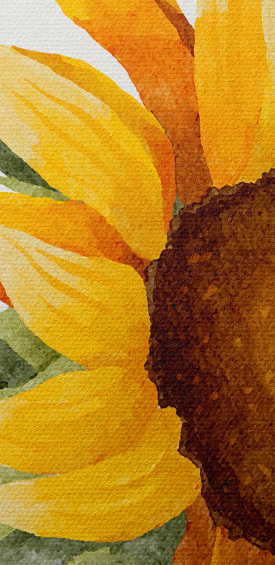 Gros plan sur un tournesol