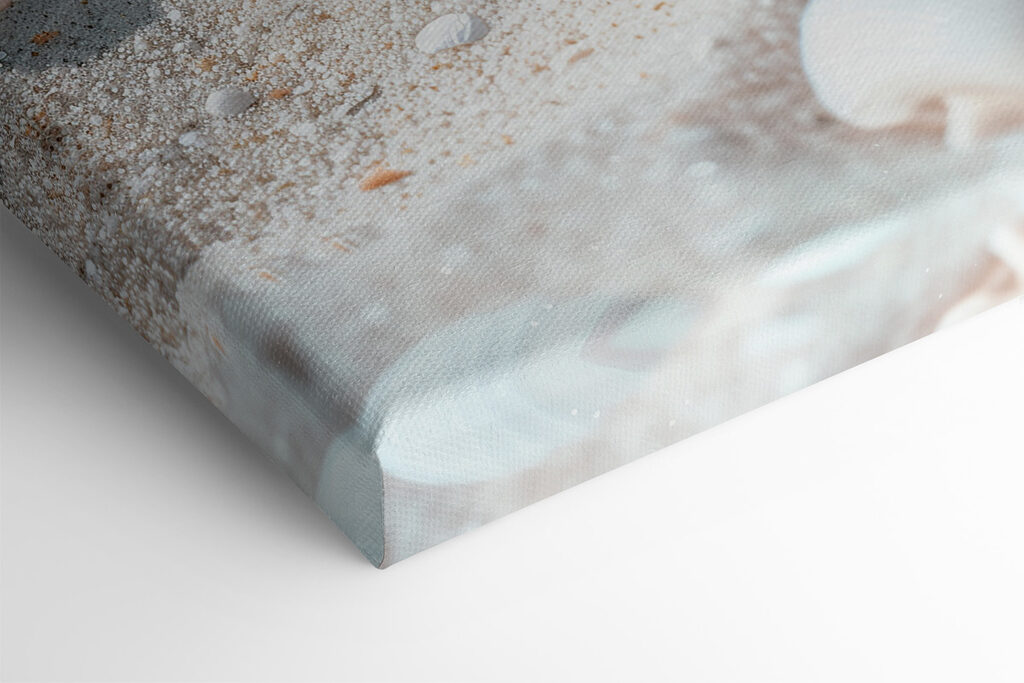 A group of shells and starfish on sand A group of shells and starfish on sand