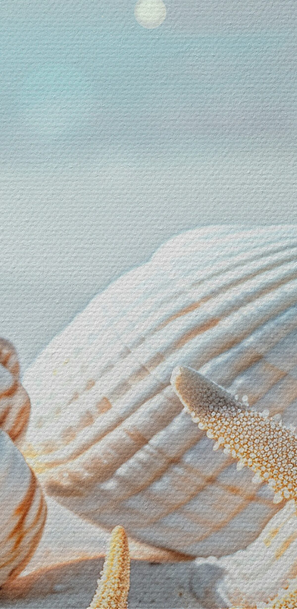 Groupe de coquillages et d'étoiles de mer sur le sable Groupe de coquillages et d'étoiles de mer sur le sable