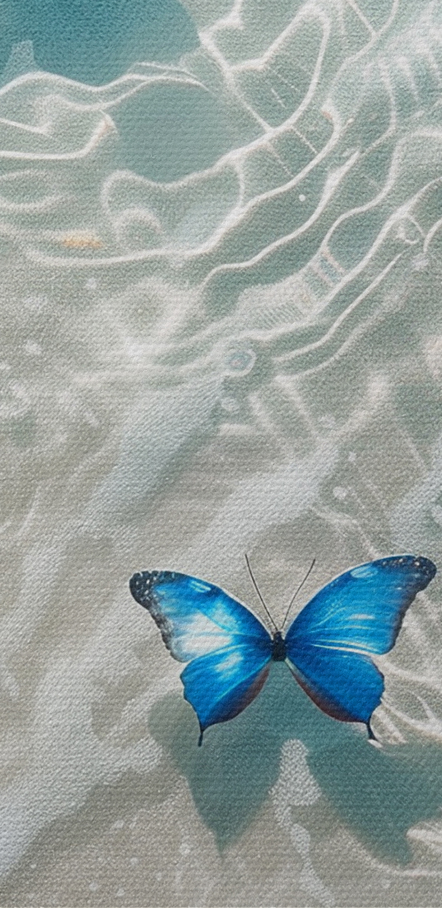 Papillons sur l'eau Papillons sur l'eau
