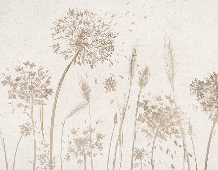 Papier peint Dessin de pissenlits et de blé – Image 7