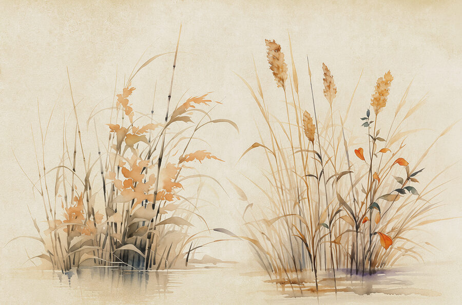 Aquarelle de plantes Aquarelle de plantes