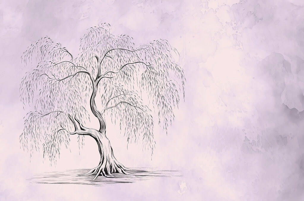 Arbre avec un saule pleureur Arbre avec un saule pleureur