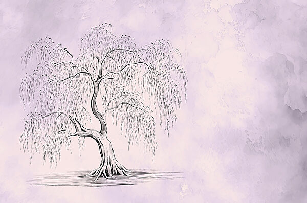Arbre avec un saule pleureur Arbre avec un saule pleureur