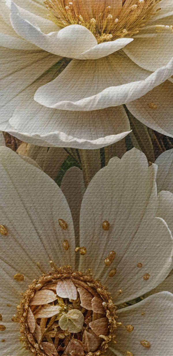 Groupe de fleurs blanches Groupe de fleurs blanches