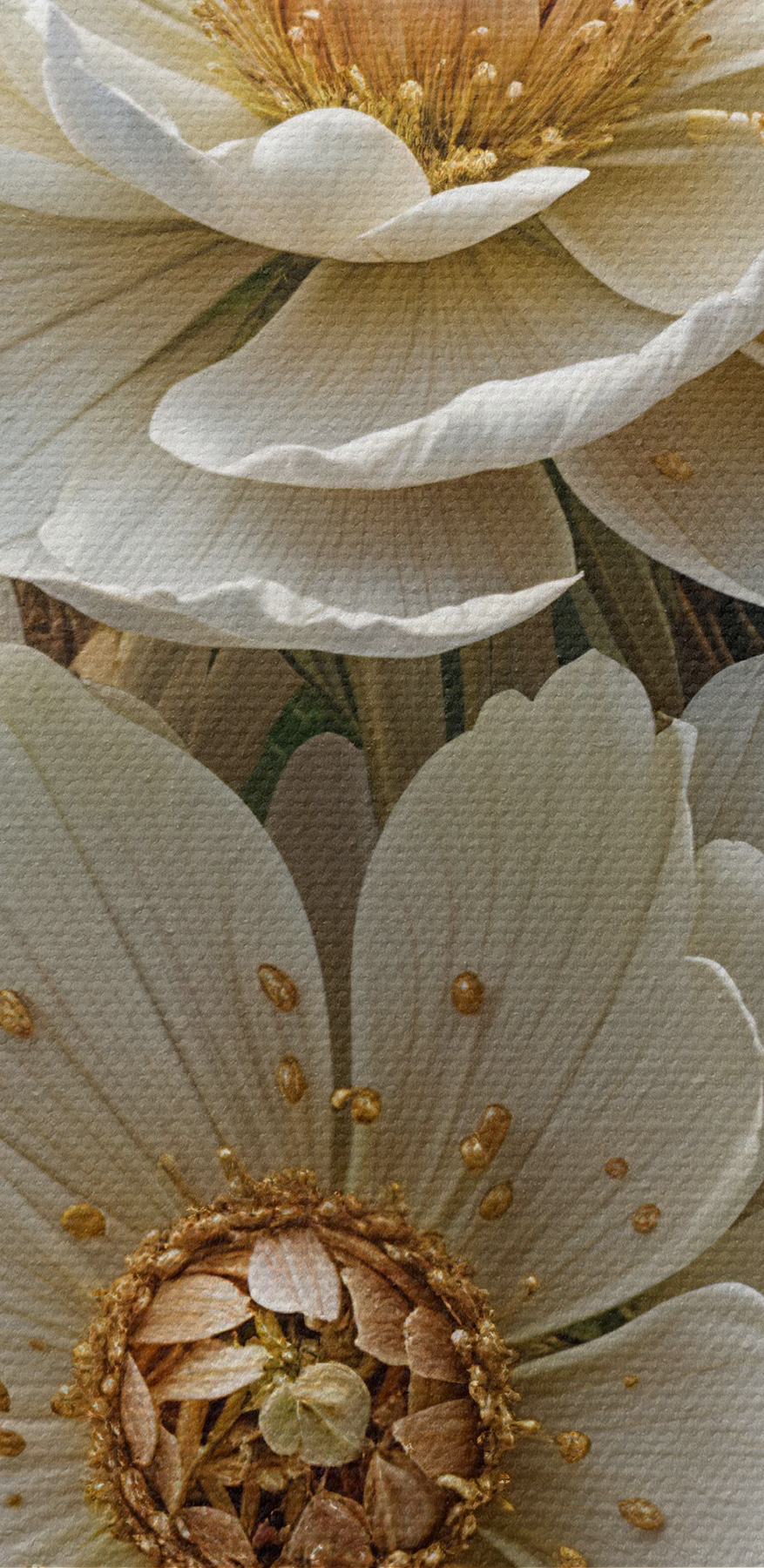 Groupe de fleurs blanches Groupe de fleurs blanches