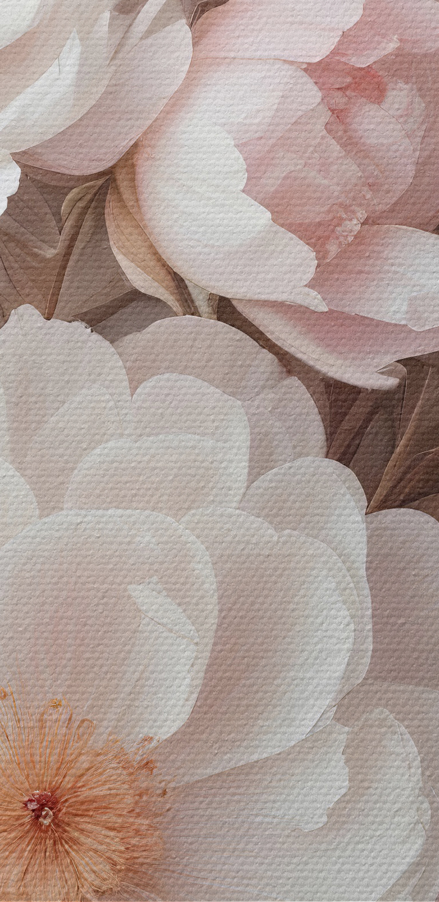 Groupe de fleurs blanches et roses