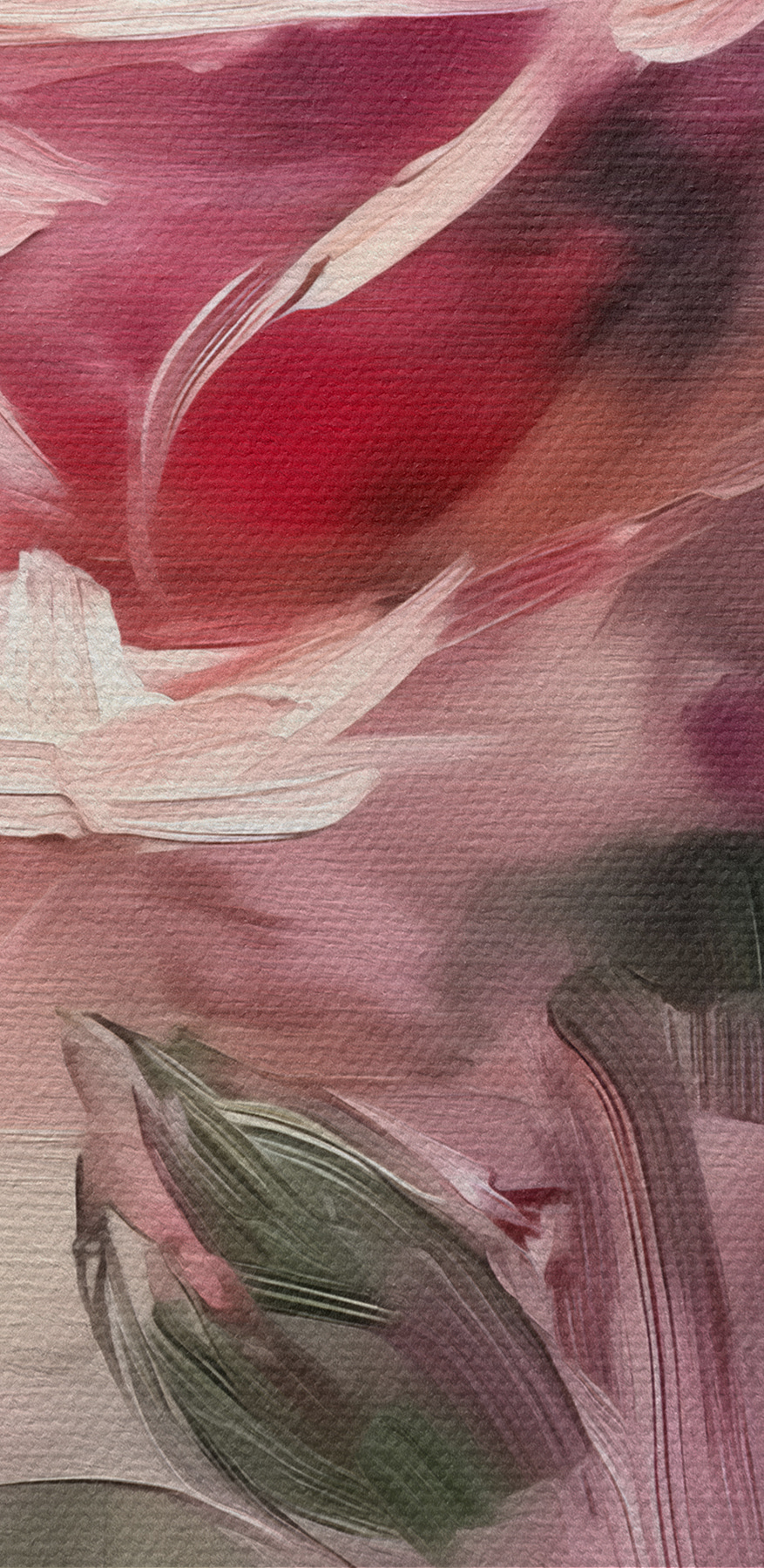 Gros plan sur une fleur