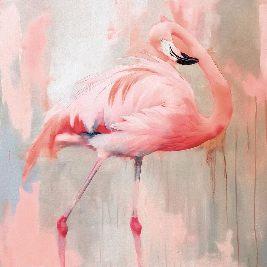 Flamant rose à longues pattes