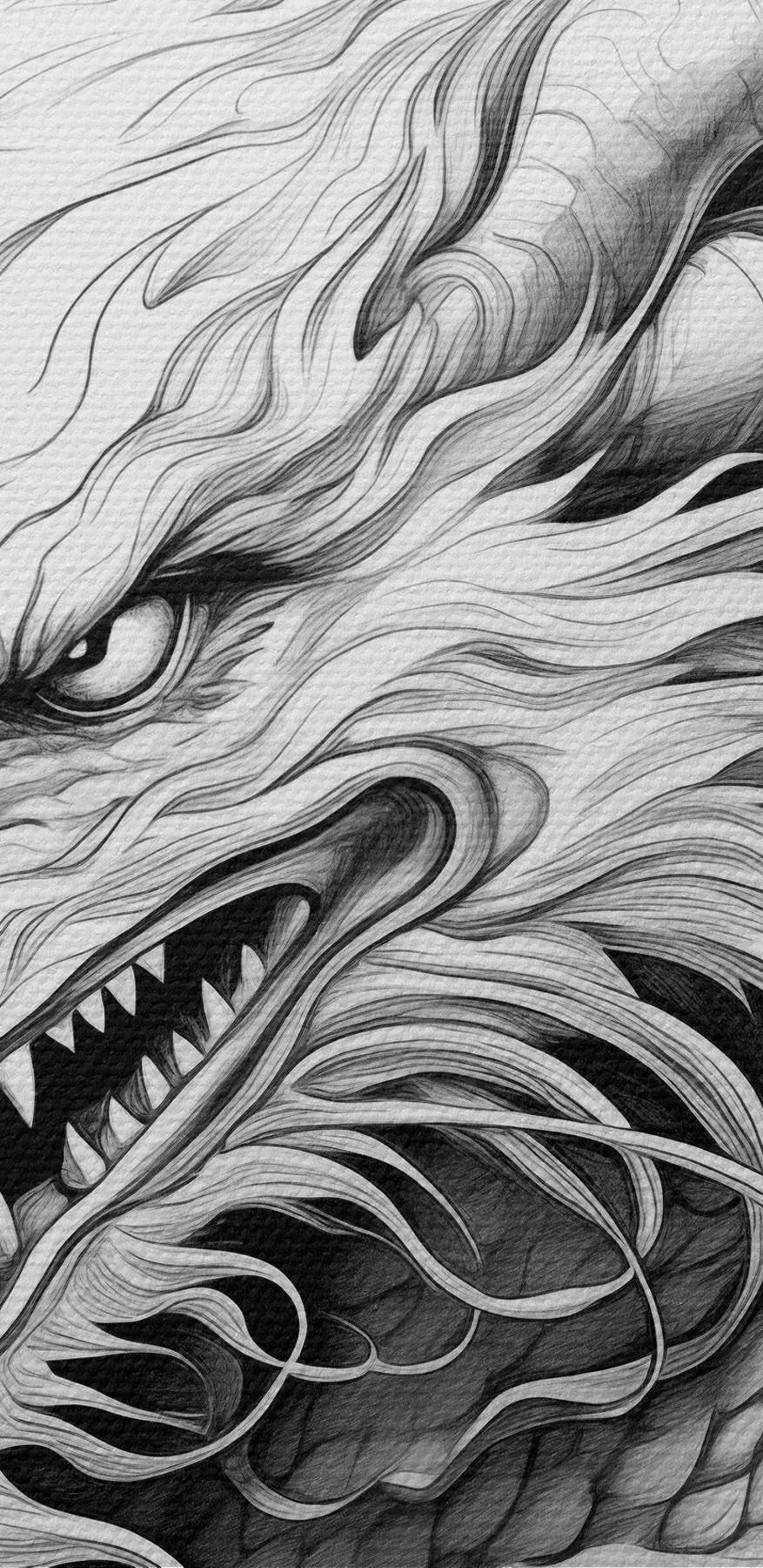 Dessin d'un dragon