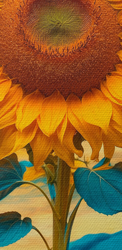 Sunflower with blue and yellow leaves