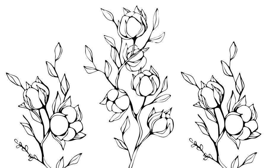 Papier peint Dessin en noir et blanc de fleurs et de feuilles – Image 3