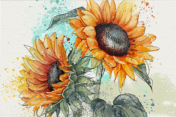 Peinture de tournesols sur fond blanc Peinture de tournesols sur fond blanc