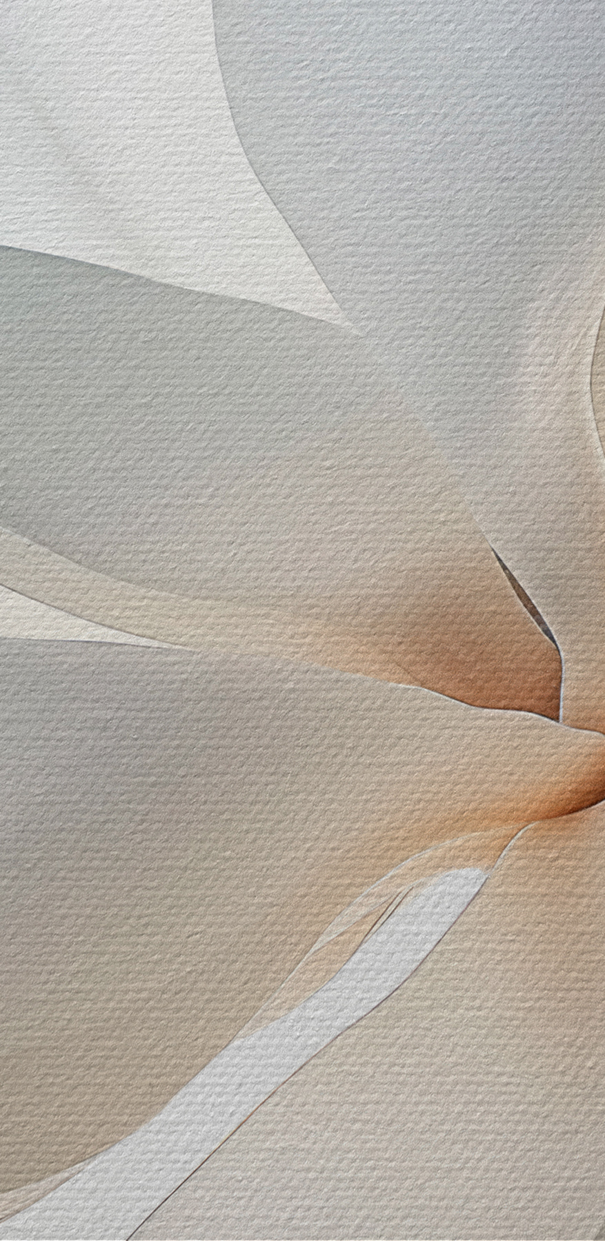 Fleur blanche avec pétales