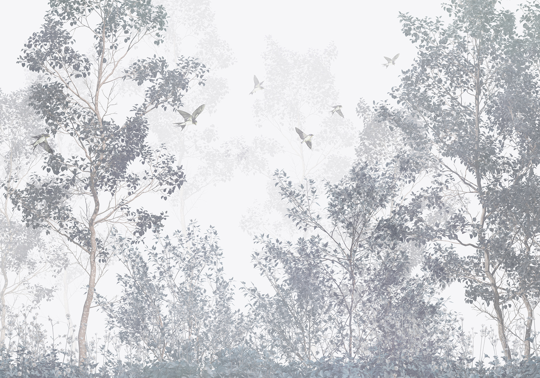 Birds flying in the sky Birds flying in the sky