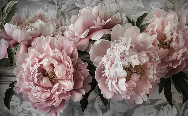 Groupe de fleurs roses Groupe de fleurs roses