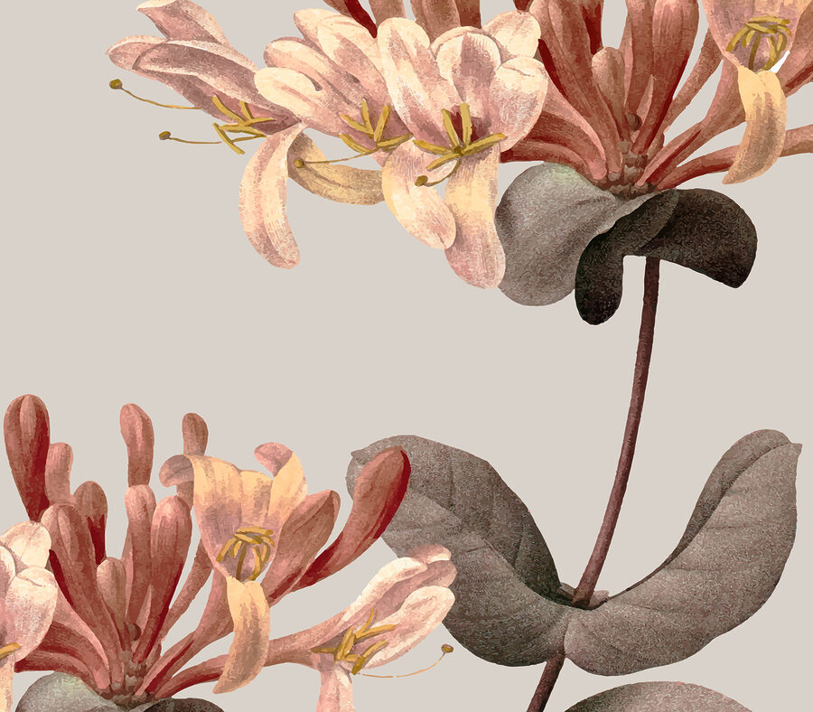 Gros plan sur des fleurs