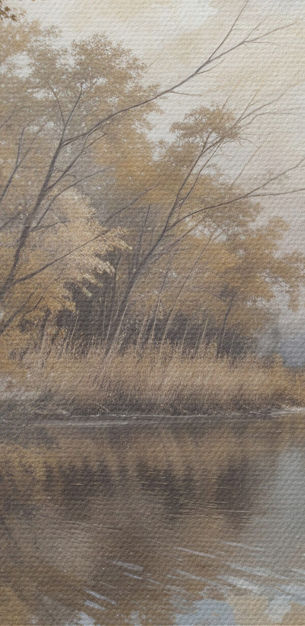 Rivière avec arbres et buissons Rivière avec arbres et buissons