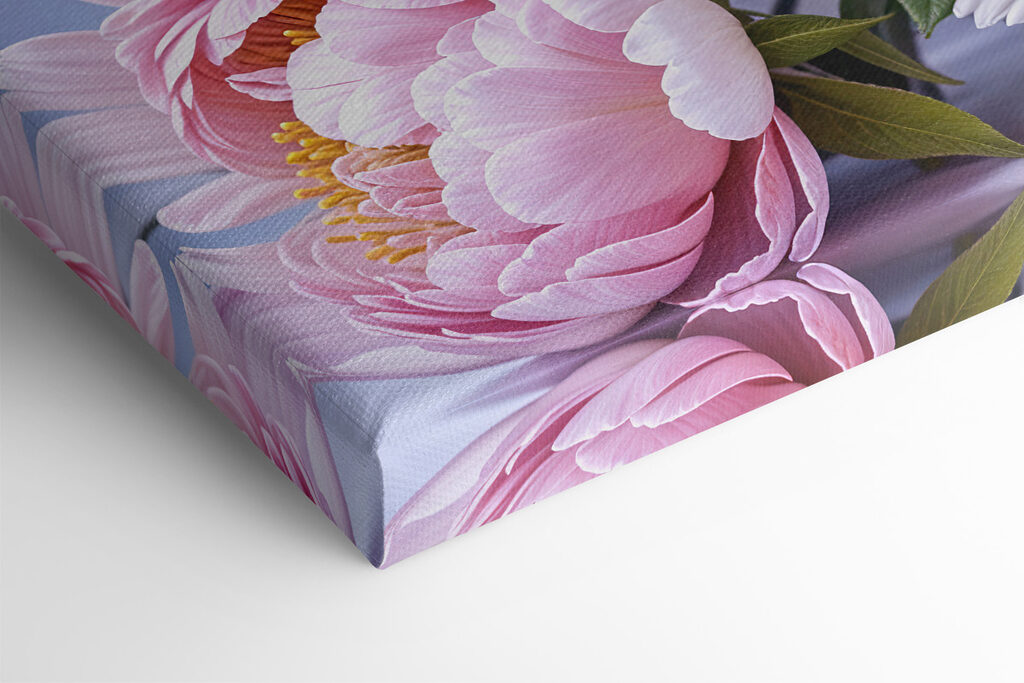 Groupe de fleurs roses et blanches s39514pml 1024x683 - Groupe de fleurs roses et blanches