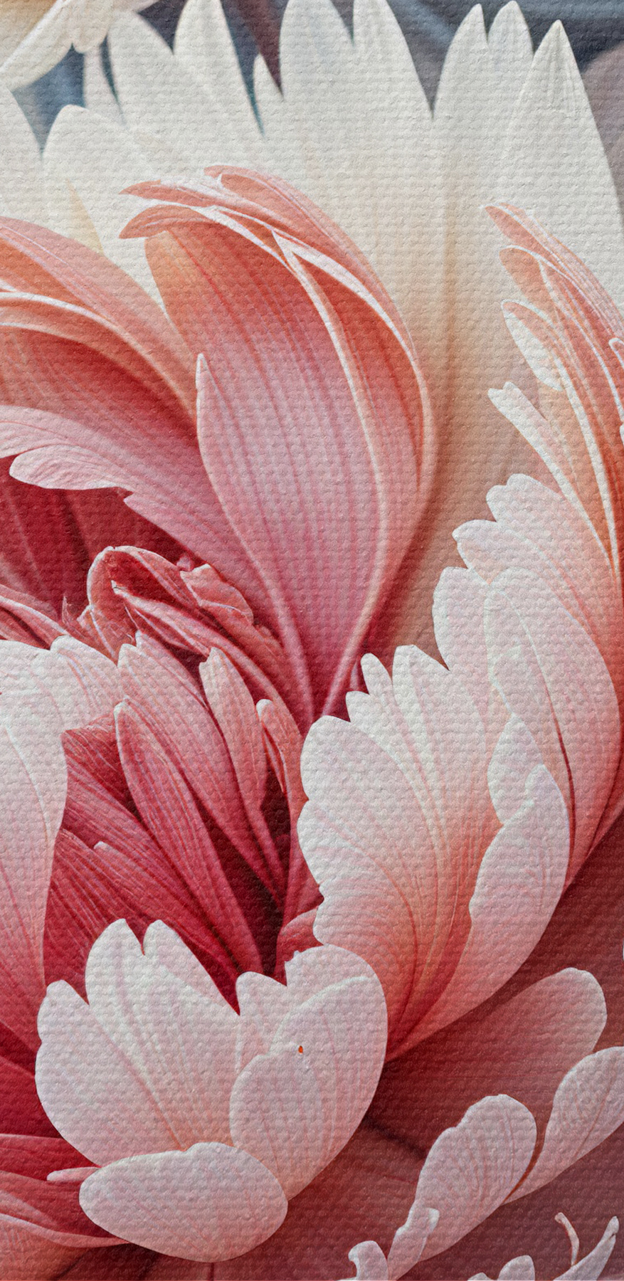 Gros plan sur des fleurs