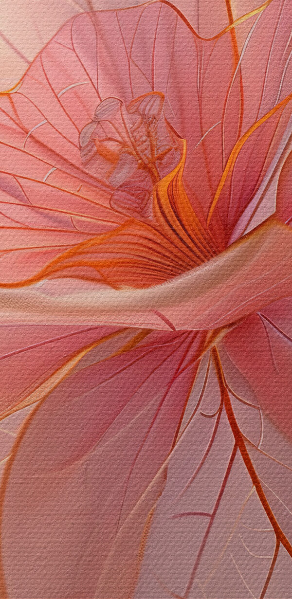 Gros plan sur une fleur Gros plan sur une fleur