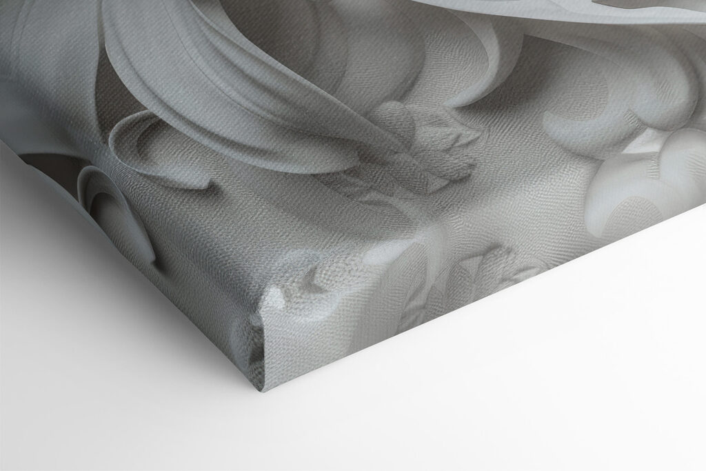 White flower on a white surface