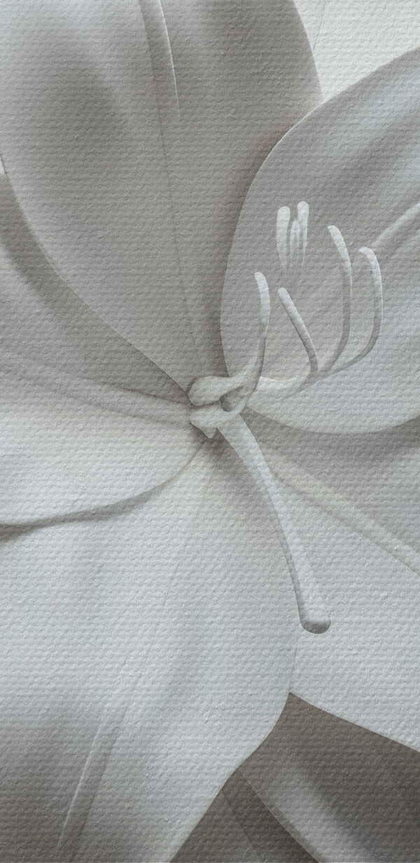 Fleur blanche sur une surface blanche Fleur blanche sur une surface blanche