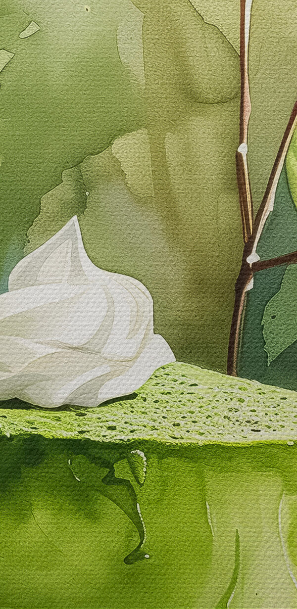 Aquarelle d'un gâteau Aquarelle d'un gâteau