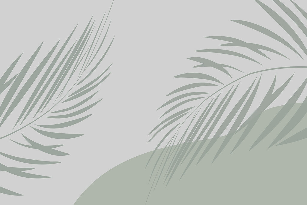Feuilles de palmier sur fond gris Feuilles de palmier sur fond gris