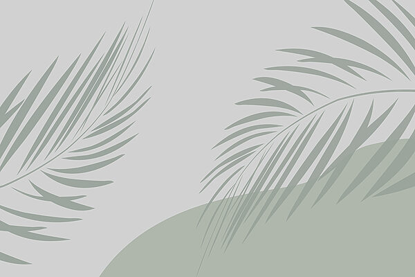 Feuilles de palmier sur fond gris Feuilles de palmier sur fond gris