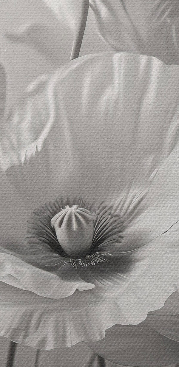 Groupe de fleurs blanches Groupe de fleurs blanches