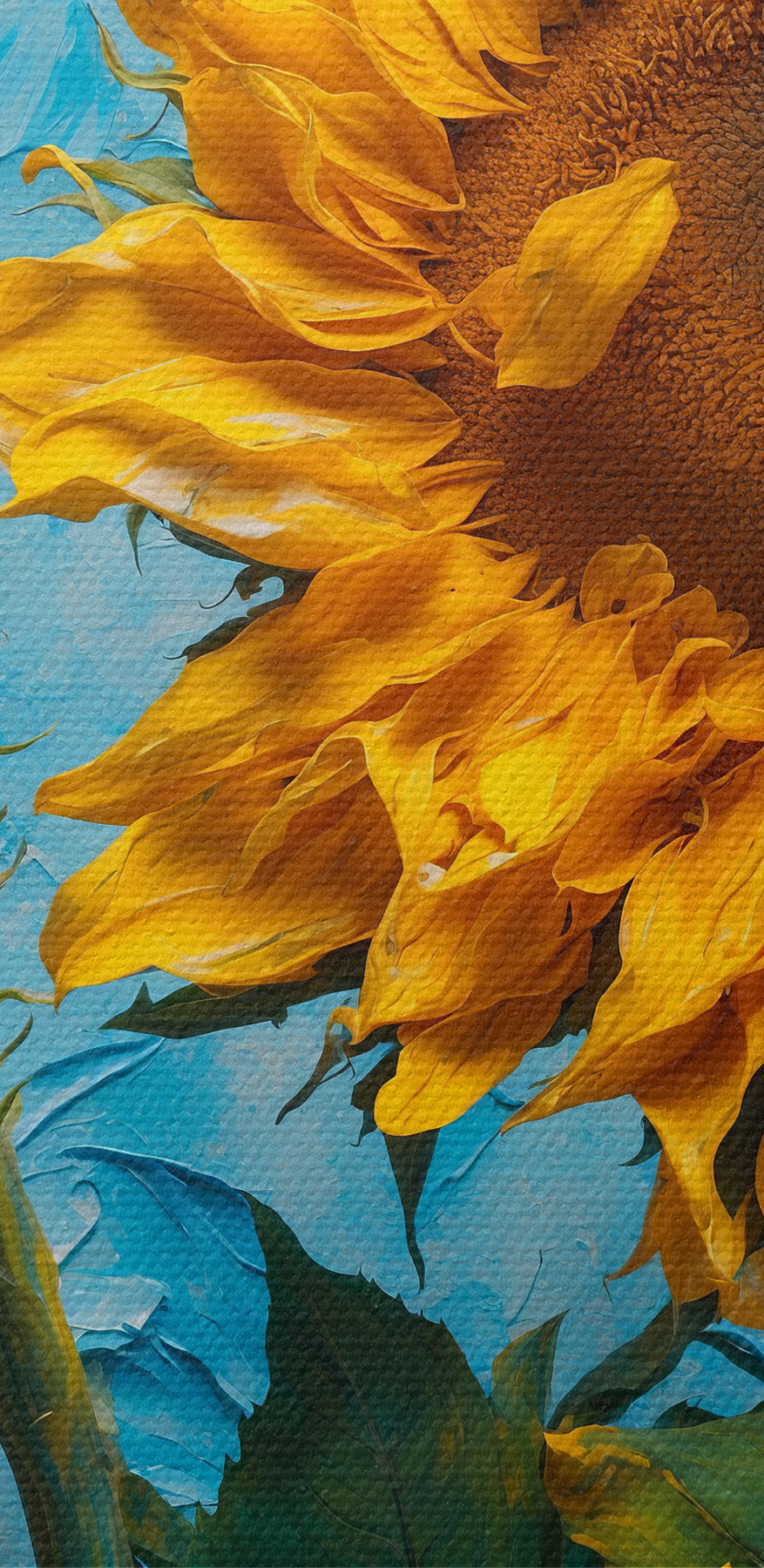 Gros plan d'un tournesol