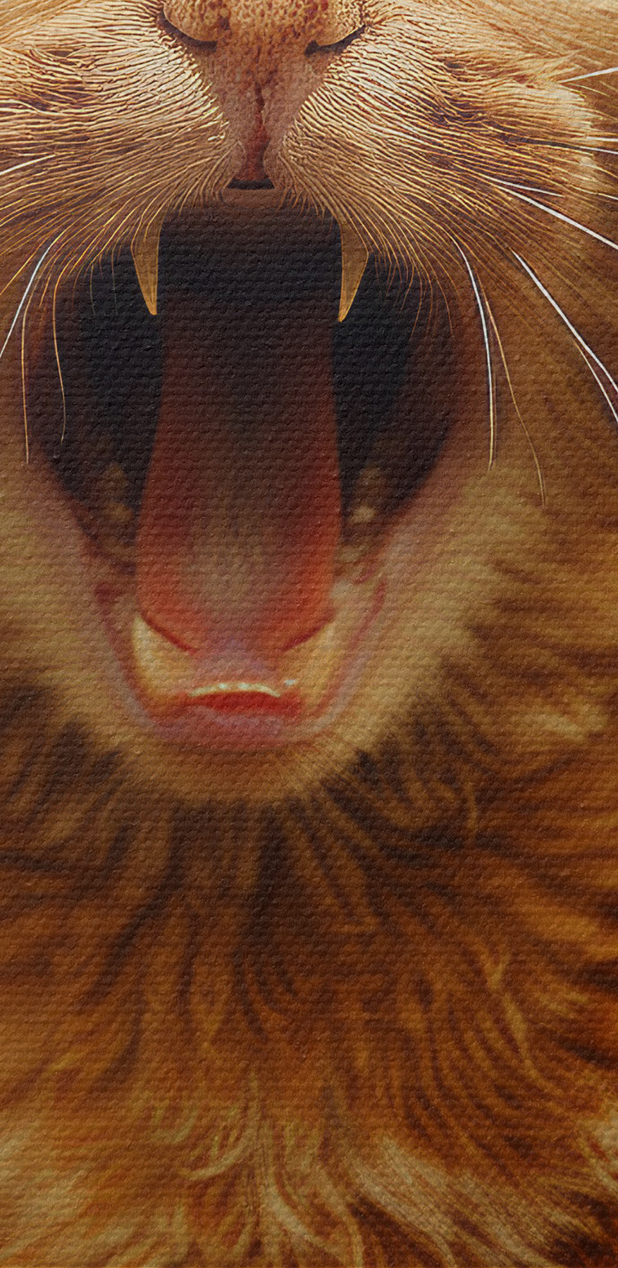Chat avec la bouche ouverte