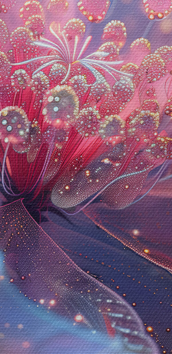 Gros plan sur une fleur Gros plan sur une fleur