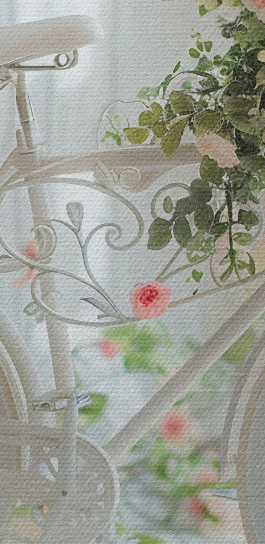Vélo blanc avec des fleurs Vélo blanc avec des fleurs