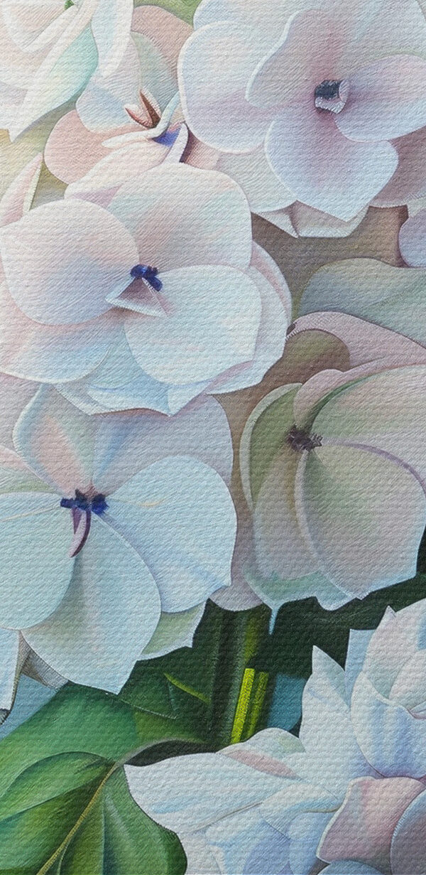 Gros plan sur une fleur Gros plan sur une fleur