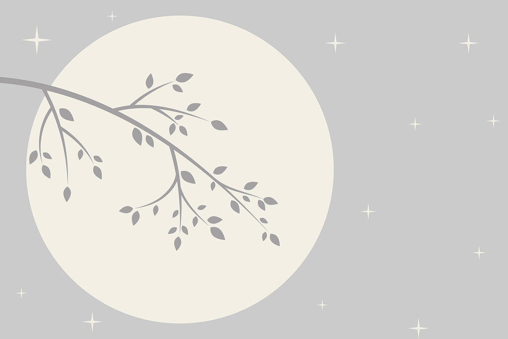 Branche d'arbre avec des feuilles Branche d'arbre avec des feuilles
