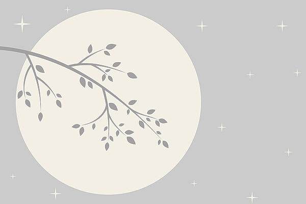 Branche d'arbre avec des feuilles Branche d'arbre avec des feuilles