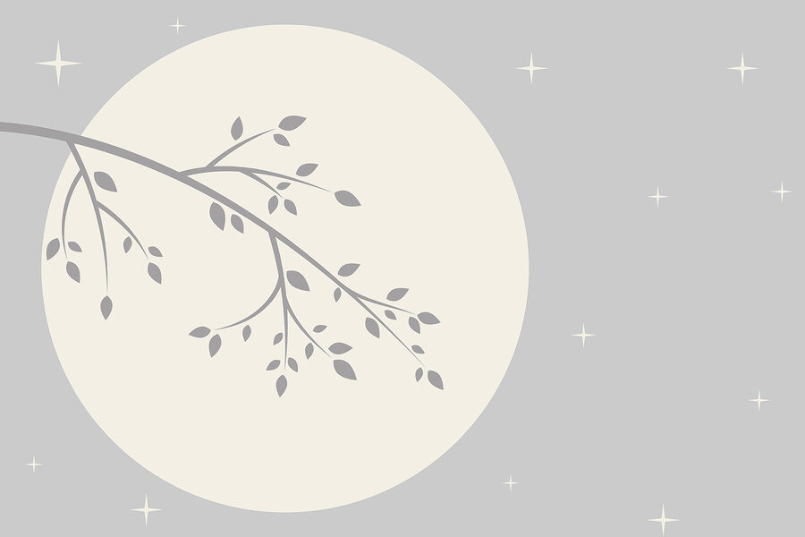 Branche d'arbre avec des feuilles Branche d'arbre avec des feuilles
