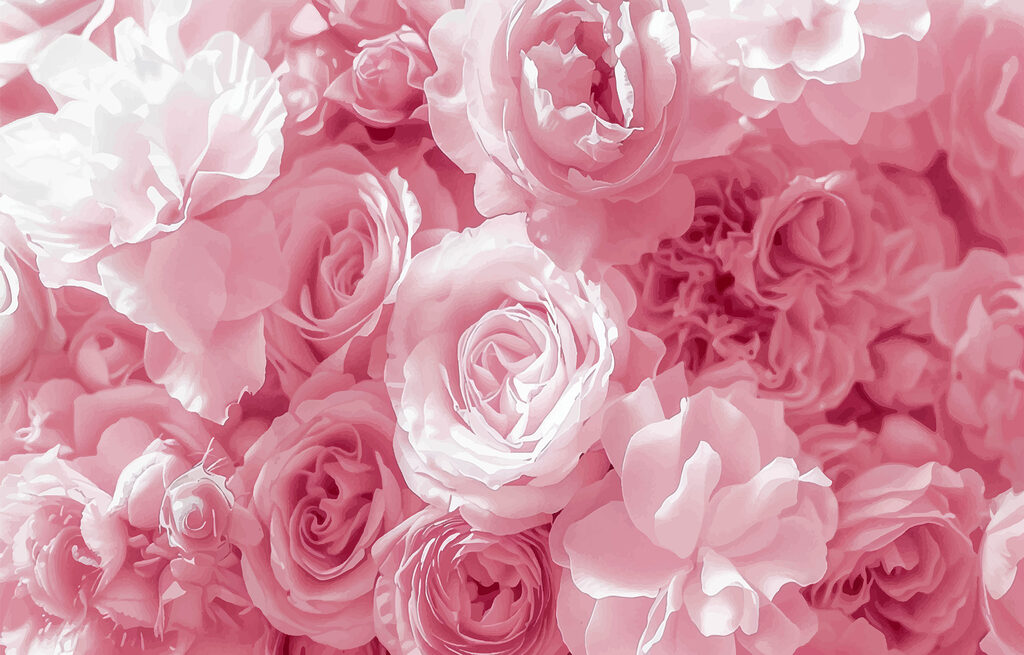Groupe de fleurs roses Groupe de fleurs roses