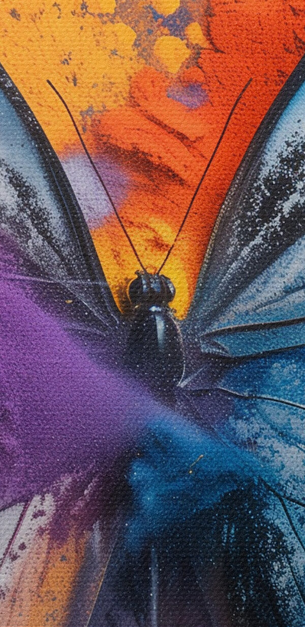 Papillon avec poudre colorée Papillon avec poudre colorée