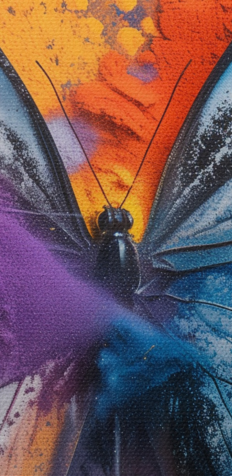 Papillon avec poudre colorée Papillon avec poudre colorée