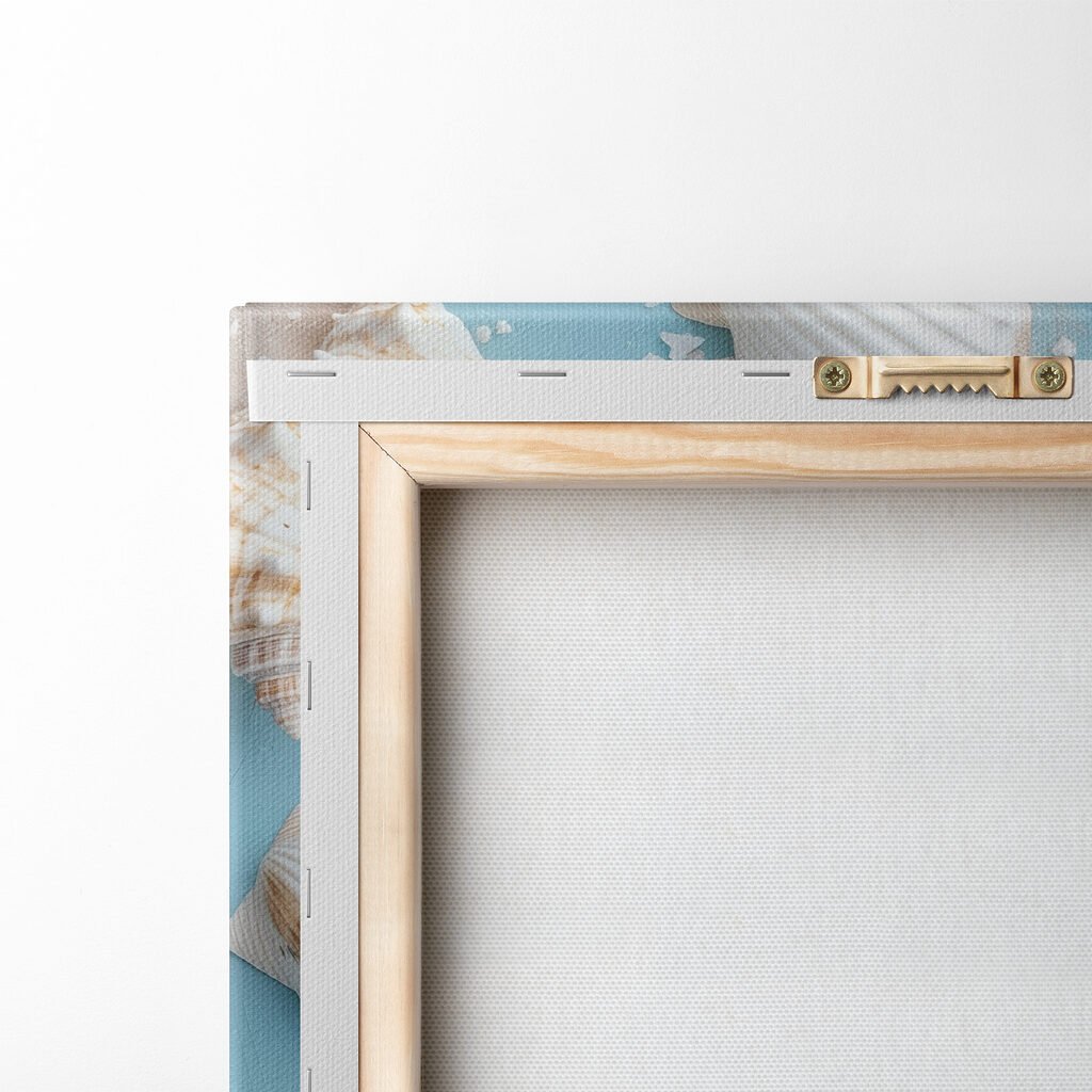 Group of seashells and starfish on sand