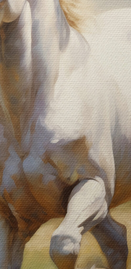 White horse running in a field