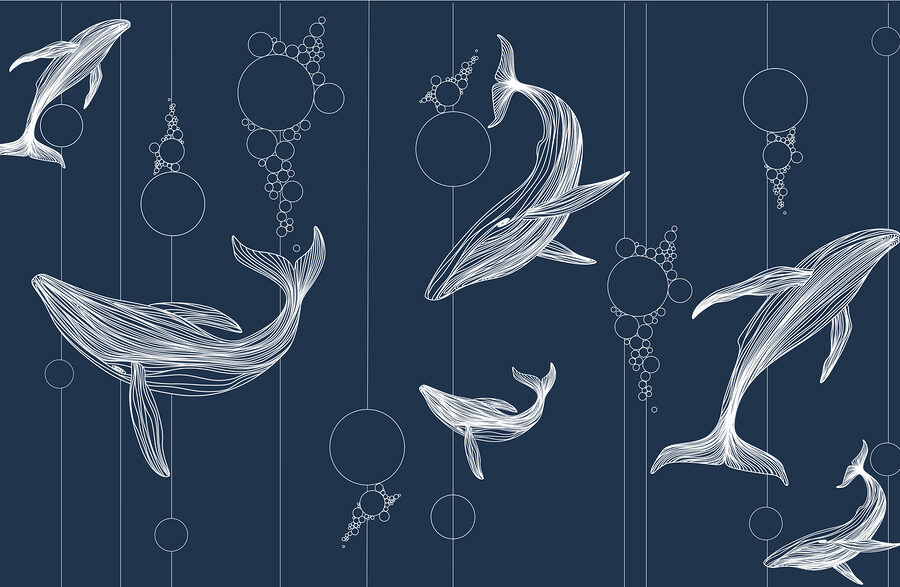 Groupe de baleines et bulles