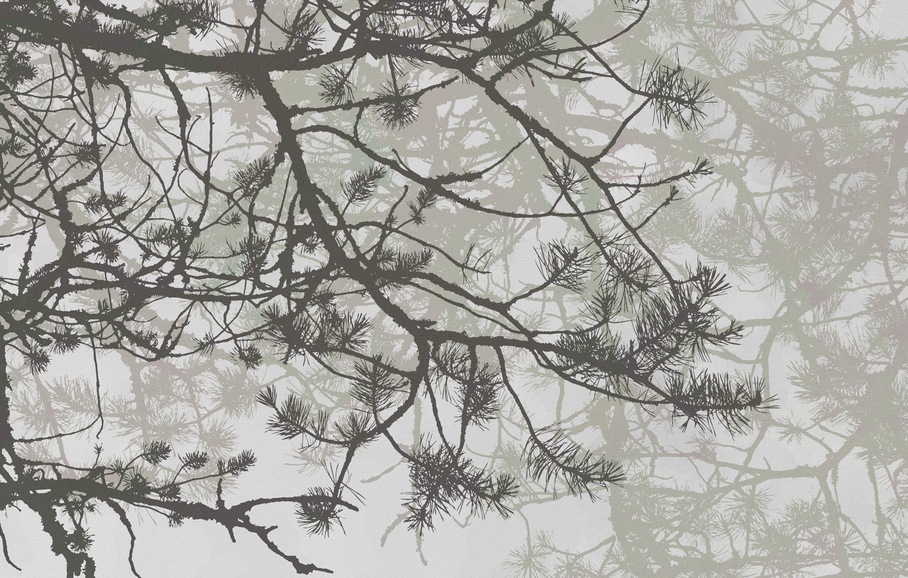 Tree branches with needles Tree branches with needles