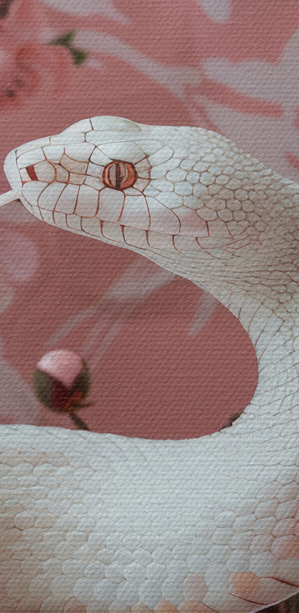Serpent blanc à fleurs roses Serpent blanc à fleurs roses