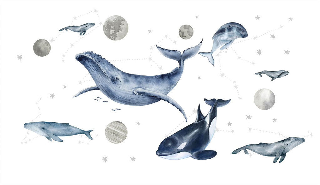 Groupe de baleines et de poissons Groupe de baleines et de poissons