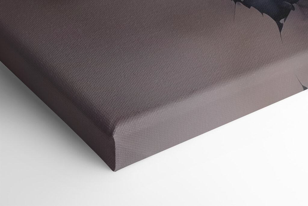 Group of pink roses Group of pink roses